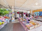 Domek letniskowy z lokalem usługowym - Kretowiny - 16