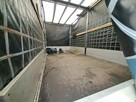 Renault Master - 13