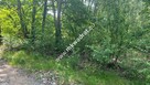 Działka budowlana 3218 m2 Radonie z MPZP Okazja - 7