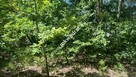 Działka budowlana 3218 m2 Radonie z MPZP Okazja - 2