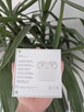 Apple AirPods Pro 2 - 6