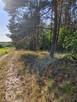 Działka w Kaliska , ponad 1 hektar okazja - 2