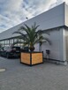 Duże donice loft - 6