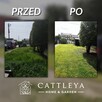 Usługi ogrodnicze koszenie aeracja Wertykulacja - 2