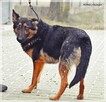 Marcel – zagubiony młodzieniec szuka cierpliwego opiekuna - 9