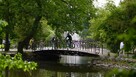 100 metrowe parter z ogródkiem, cegła sprzedam Ciechocinek - 13