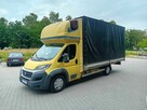 Ducato 3.0 Plandeka 10-cio paletowy - 3
