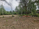 Działka budowlana Szczęsne gm. Grodzisk Mazowiecki, - 5