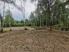 Działka budowlana Szczęsne gm. Grodzisk Mazowiecki, - 6