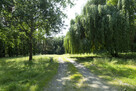 Inwestycyjna działka pod Wrocławiem – 1,31 ha - MPZP:UT - 6