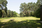 Inwestycyjna działka pod Wrocławiem – 1,31 ha - MPZP:UT - 9