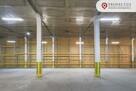 Lokal użytkowy Gdańsk Nowy Port - 6
