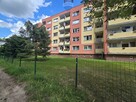 3-pokojowe mieszkanie na parterze, Gryfice - 2
