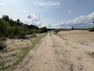 Działka w sąsiedztwie lasu Górsk/Czarne Błoto - 2