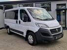 Fiat Ducato Panorama | 9 osobowy | Zarejestrowany w PL! - 3