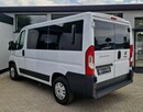 Fiat Ducato Panorama | 9 osobowy | Zarejestrowany w PL! - 4