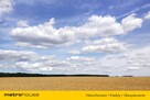 Mieszkanie w Łabiszewo,bezczyn.Udział  w gruncie. - 9