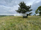 Nowa Wieś Przywidzka- dz. z panoramicznym widokiem - 8