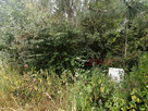 Działka usługowa Sochaczew, - 4