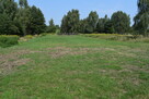 Działka budowlana 32a - Głogów Młp - 11