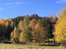 Unikalna działka na Górze Sokolik w Rudawach - 16