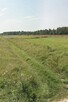 Działka rolno-budowlana, Brogowa, Pow. Przysuski - 3