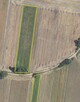 Sprzedaż (oddzielnie) dwie działki rolne 55a i 38a - 5