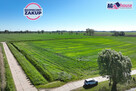 Działka rolna Rokitnica gm. Pruszcz Gdański, Sadowa - 2