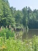 Lokal użytkowy Janów Lubelski - 4