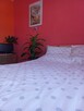 2 pokojowe z balkonem, garaż, cegła, ogródek- sprzedam - 7