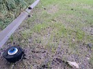 Kompleksowe zakładanie trawnika i automatycznego nawadniania - 4