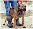 Mara - wspaniała dama marzy o spokojnym, ciepłym domu - 5