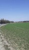 Sprzedam działkę około 8200m2 po 88zlm2 - 2