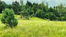 Działka nad jeziorem GŁĘBOKIE - Świeszyno k. Miastka - 4