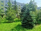Wynajmę kawalerkę w Radomiu na osiedlu Ustronie-Prędocinek - 7