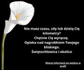 Opieka nad nagrobkiem Twojego bliskiego - 1