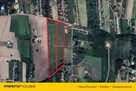 Krzywiec 52000 m2 gm. Aleksandrów Łódzki - 4