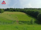 Działka Pasierbiec gm. Limanowa - 1