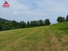 Działka Pasierbiec gm. Limanowa - 2