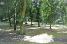 Kawalerka do wynajęcia – 25 m², Dąbie. - 9