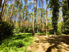 Dom Adamów-Wieś gm. Radziejowice, - 6