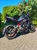 Kawasaki ER6n - 6