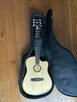 L.R. Baggs AEG-1 Acoustic Electric Guitar - 3