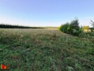 Działka Sypitki gm. Kalinowo - 6