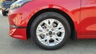 Kia Nowy Ceed 1.5 T-GDI 160 KM 6MT WersjaM SalonPL Gwarancja2031 FV23% - 10