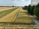 Działka rolno-budowlana Zakrzów gm. Wojnicz - 2