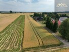 Działka rolno-budowlana Zakrzów gm. Wojnicz - 6