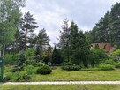 Cicha działka z domkiem w otulinie lasu koło rzeki - 3