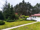 Cicha działka z domkiem w otulinie lasu koło rzeki - 4