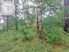 Działka budowlana Kamień gm. Szemud, Jagodowa - 5
